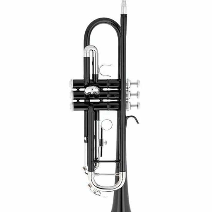 Test, Avis : Thomann Black Jazz Bb- Trumpet