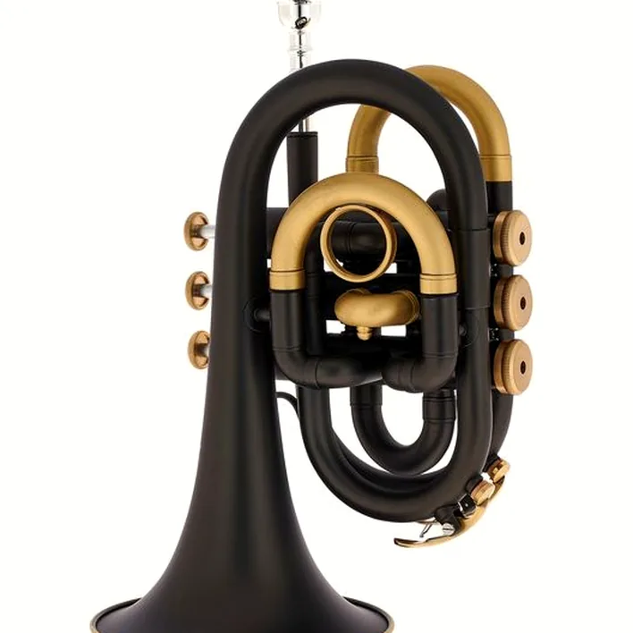 Test & Avis : Thomann Blacky Pocket Bb-Trumpet