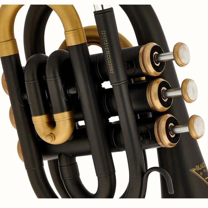Test & Avis : Thomann Blacky Pocket Bb-Trumpet