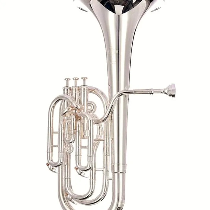 Test, Avis : Thomann BR-802S Baritone Horn