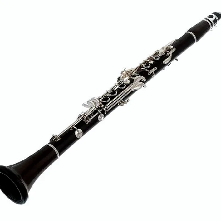 Test, Avis de la clarinette Thomann CL-17BB Bb- Clarinet Boehm