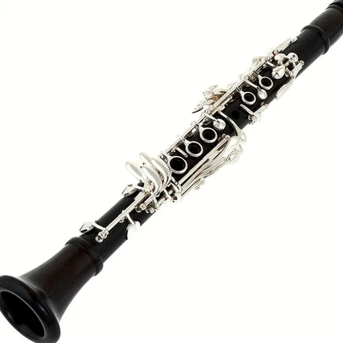 La clarinette Thomann CL-18EB Eb-Clarinet Boehm / Comparatif, Test, Avis