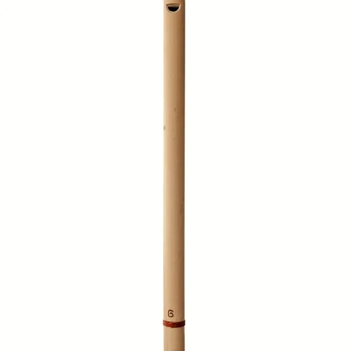 Test & Avis : Thomann Rhythm flute G