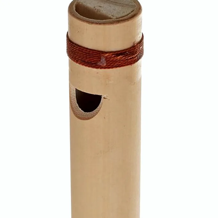 Test & Avis : Thomann Rhythm flute G