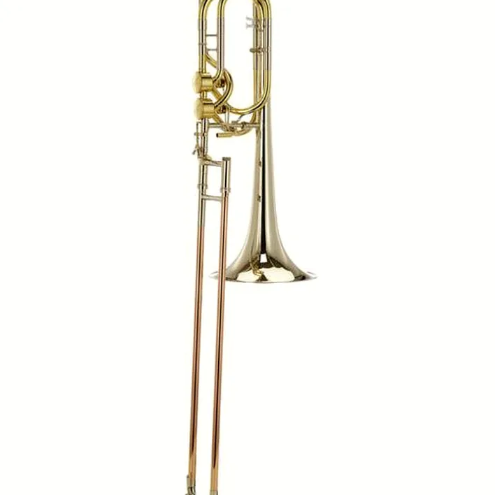 Avis & Test : Michael Rath R9 Bass Hagmann Dual