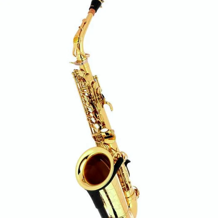 Saxophone Yamaha YAS-875 EX Alto Sax / Test, Avis