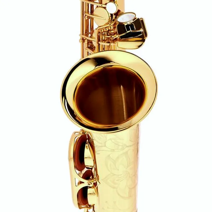 Saxophone Yamaha YAS-875 EX Alto Sax / Test, Avis