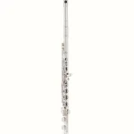 Avis, Test : Altus AS-A13 RBEO-S Flute