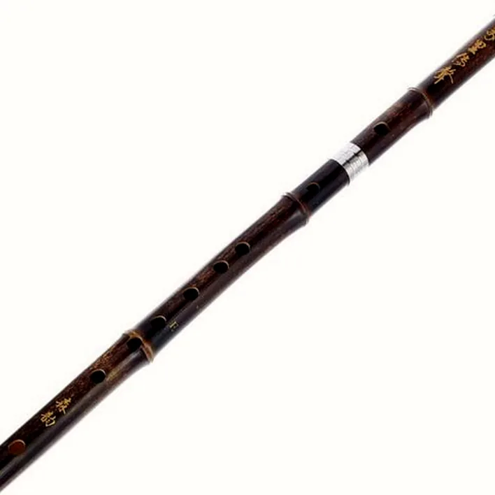 Test et Avis : Artino Chinese QuDi Pro Flute E