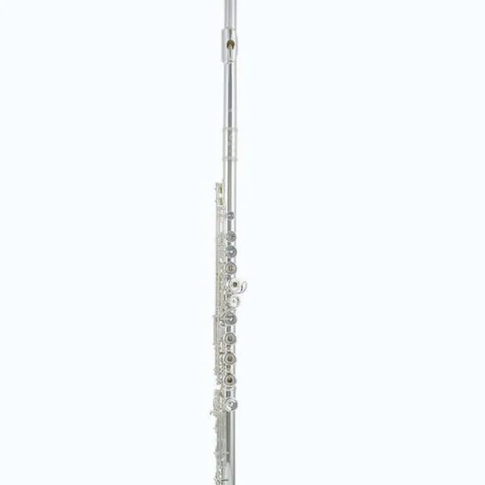 Avis et Test : Azumi AZ-S2 RBE Flute