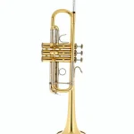 Test et Avis : Bach C 180L-239-25C C-Trumpet