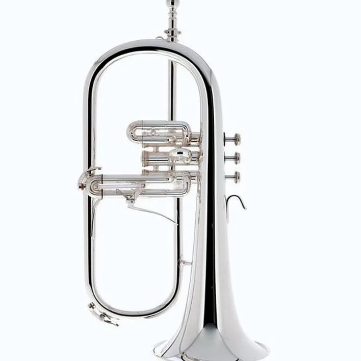 Avis et Test bugle B&S 3146/2-S Brochon