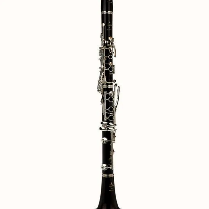 Clarinette Buffet Crampon R13 Bb-Clarinet 17/6 : Test, Avis, Comparatif