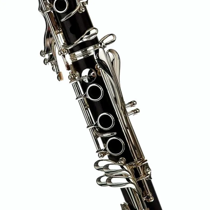 Clarinette Buffet Crampon R13 Bb-Clarinet 17/6 : Test, Avis, Comparatif
