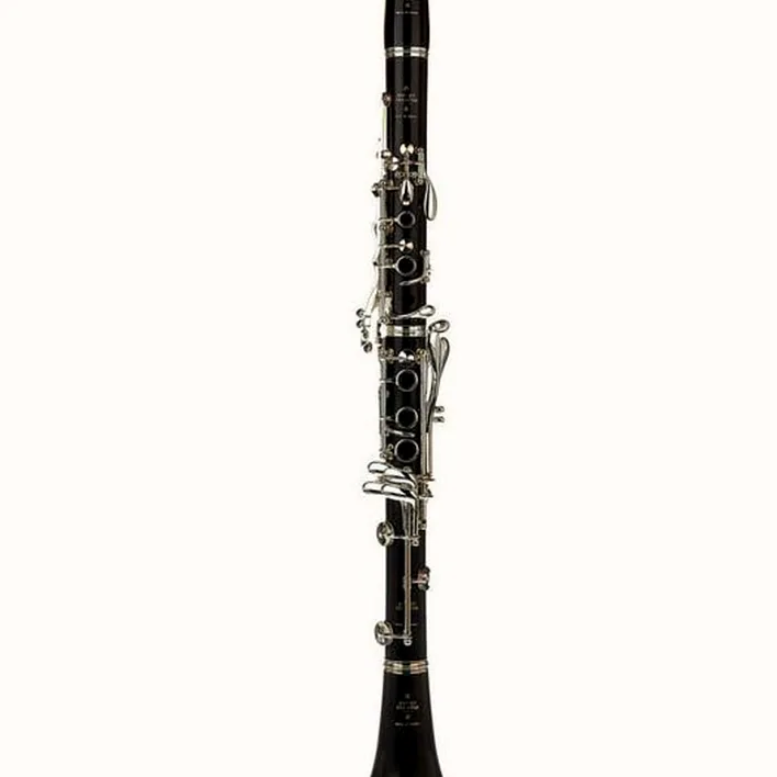Clarinette Buffet Crampon R13 Bb-Clarinet 17/6 : Test, Avis, Comparatif