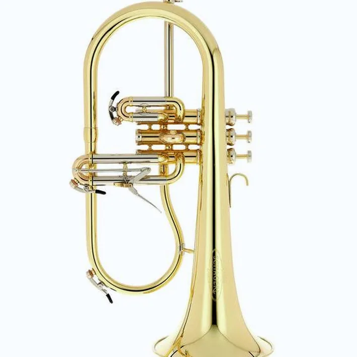 Le bugle Schagerl Dione Flugelhorn Comparatif, Test & Avis