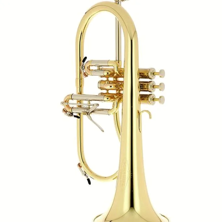 Le bugle Schagerl Dione Flugelhorn Comparatif, Test & Avis