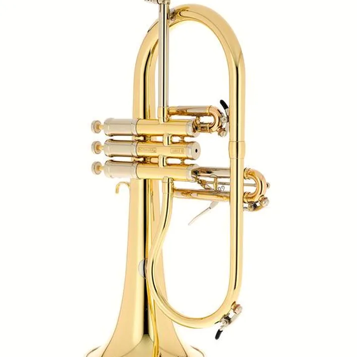 Le bugle Schagerl Dione Flugelhorn Comparatif, Test & Avis