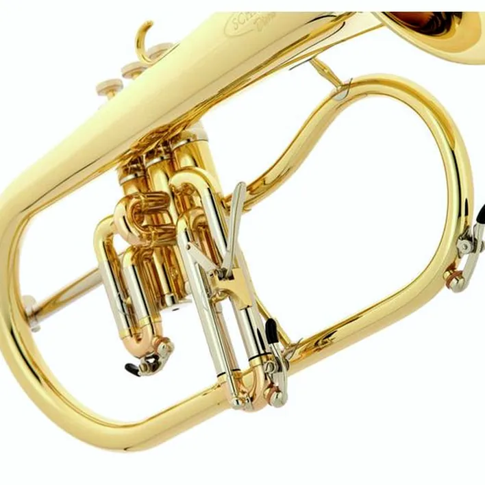 Le bugle Schagerl Dione Flugelhorn Comparatif, Test & Avis