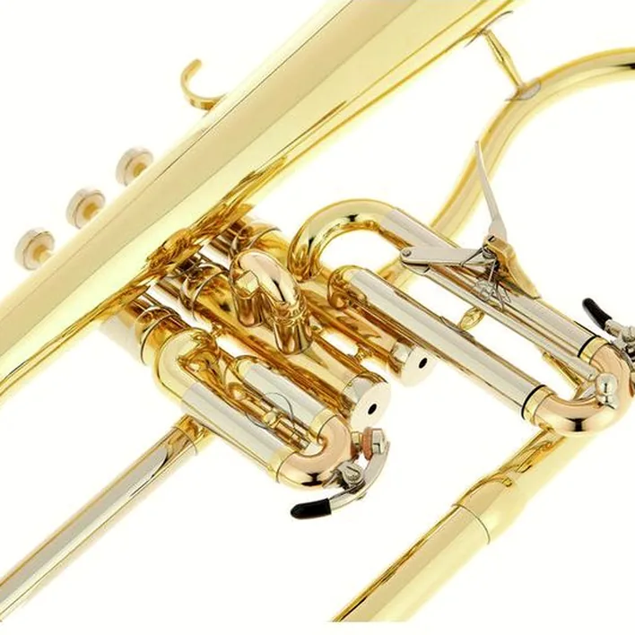 Le bugle Schagerl Dione Flugelhorn Comparatif, Test & Avis