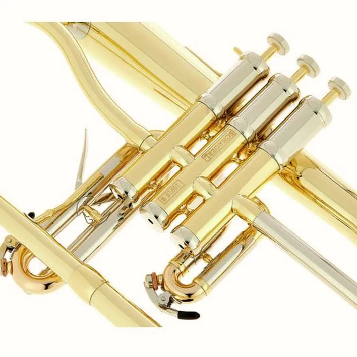 Le bugle Schagerl Dione Flugelhorn Comparatif, Test & Avis