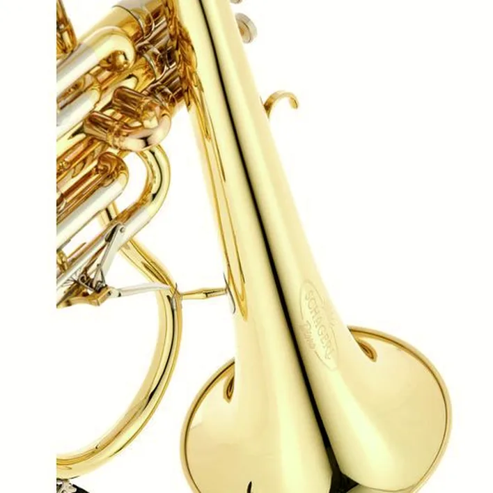Le bugle Schagerl Dione Flugelhorn Comparatif, Test & Avis