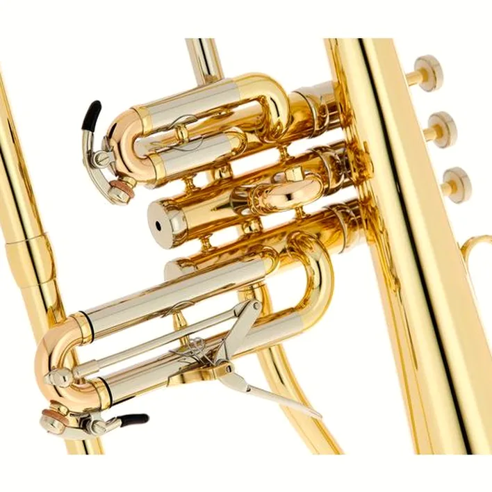 Le bugle Schagerl Dione Flugelhorn Comparatif, Test & Avis