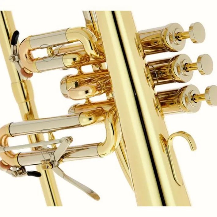 Le bugle Schagerl Dione Flugelhorn Comparatif, Test & Avis