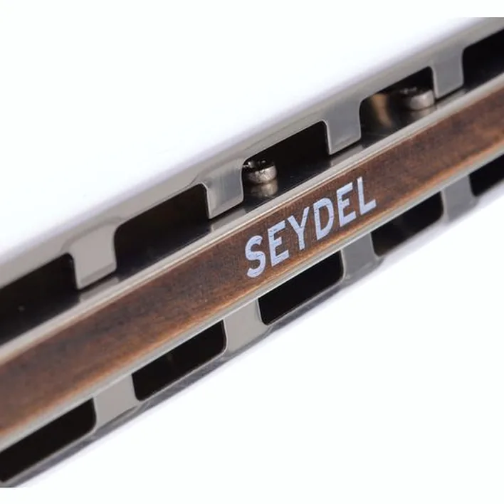 Test et Avis : C.A. Seydel Söhne Solist Pro-12 Steel Solo D