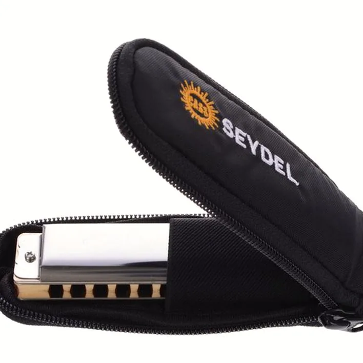 Test et Avis : C.A. Seydel Söhne Solist Pro-12 Steel Solo G