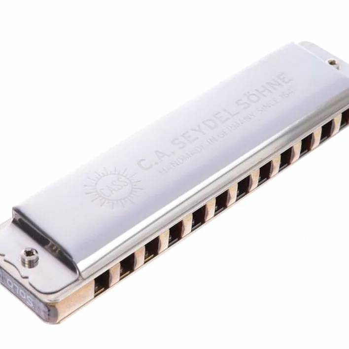 Test et Avis : C.A. Seydel Söhne Solist Pro-12 Steel Solo G