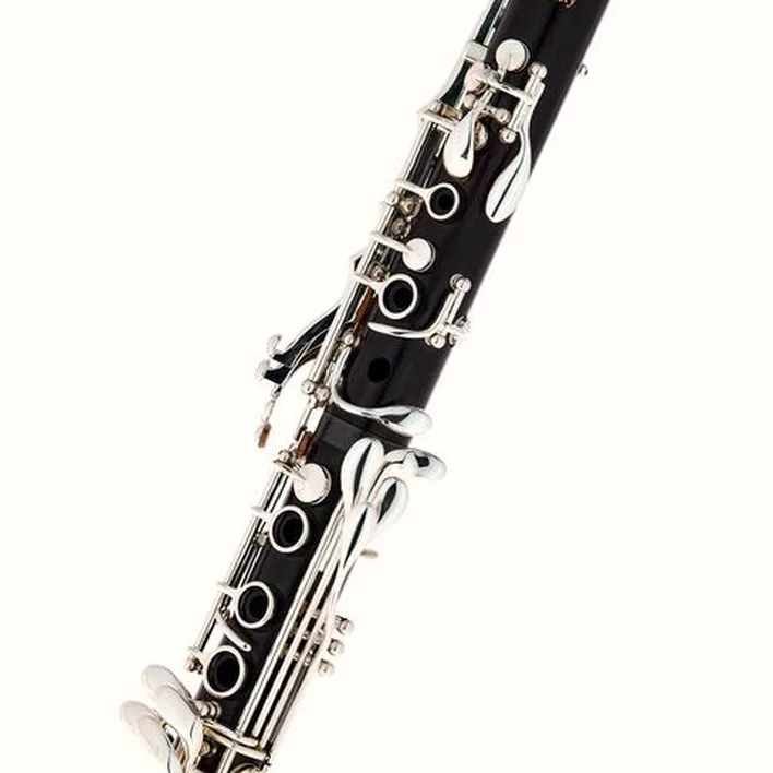 Clarinette RZ Clarinets Conservatory Bb-Clarinet 18/6 , Test, Avis et Comparatif