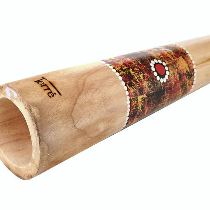Test et Avis du didjeridoo Thomann Didgeridoo Teak 130cm painted