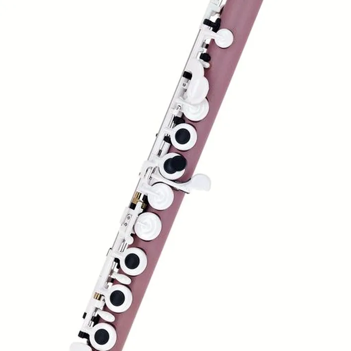 Test et Avis flûte traversière Guo Tocco+ Flute Lavandula