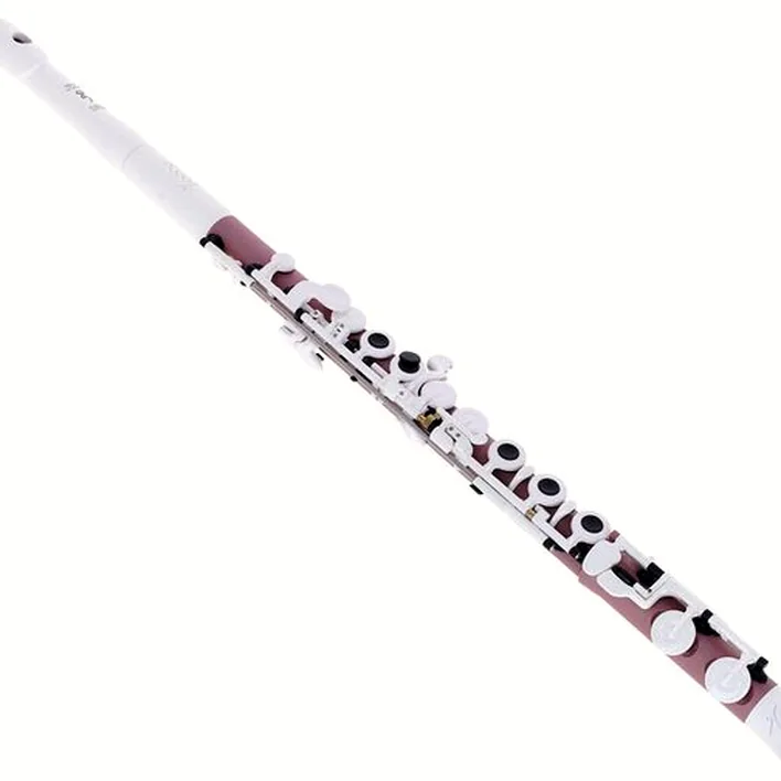 Test et Avis flûte traversière Guo Tocco+ Flute Lavandula