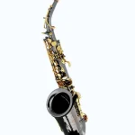 Saxophone Forestone GX Black Nickel Alto Sax / Avis, Test & Comparatif