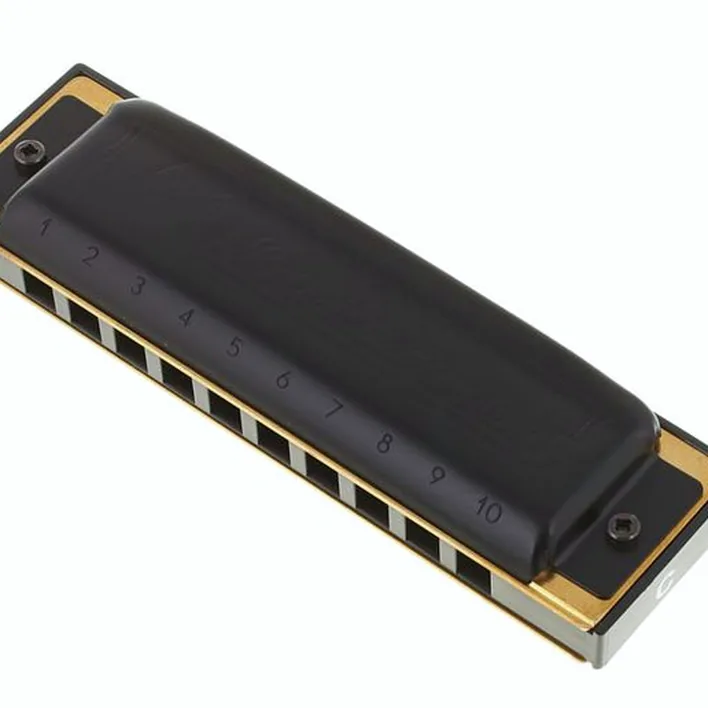 Test et Avis : Hohner Pro Harp MS C