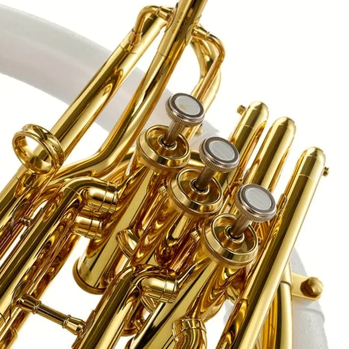 Test et Avis : Jupiter JSP1000B Bb-Sousaphone