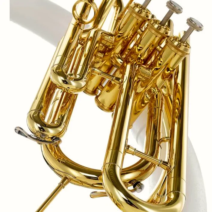 Test et Avis : Jupiter JSP1000B Bb-Sousaphone
