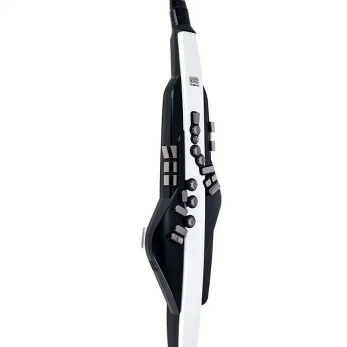 Test et Avis : Roland Aerophone AE-20