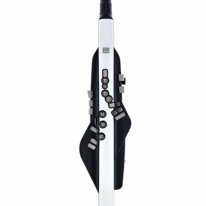 Test et Avis : Roland Aerophone AE-20