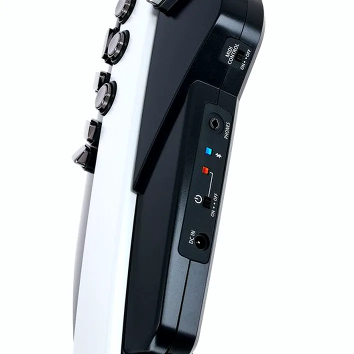 Test et Avis : Roland Aerophone AE-20