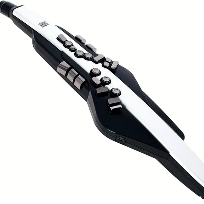 Test et Avis : Roland Aerophone AE-20