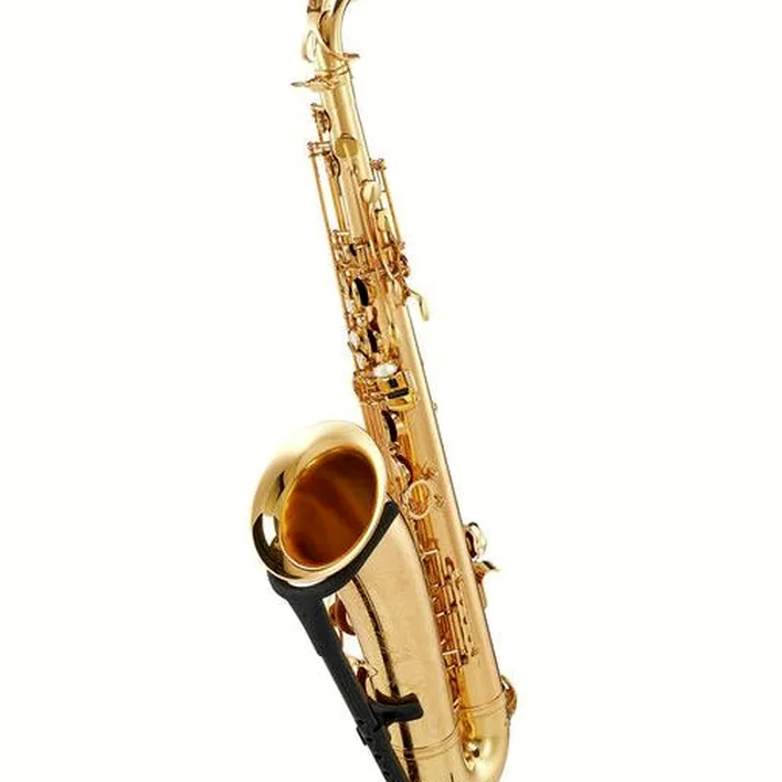 Test et Avis : Schagerl SuperiorPro Tenor Sax T-2L