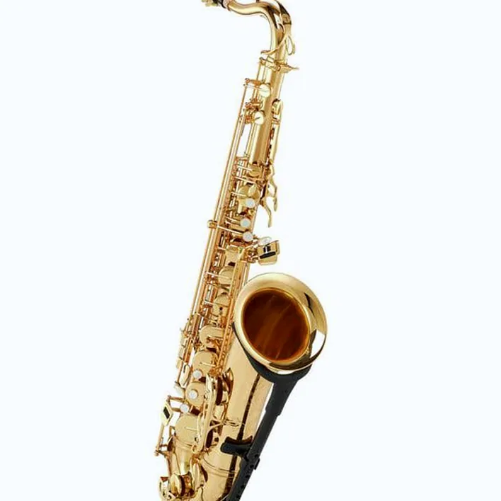Test et Avis : Schagerl SuperiorPro Tenor Sax T-2L