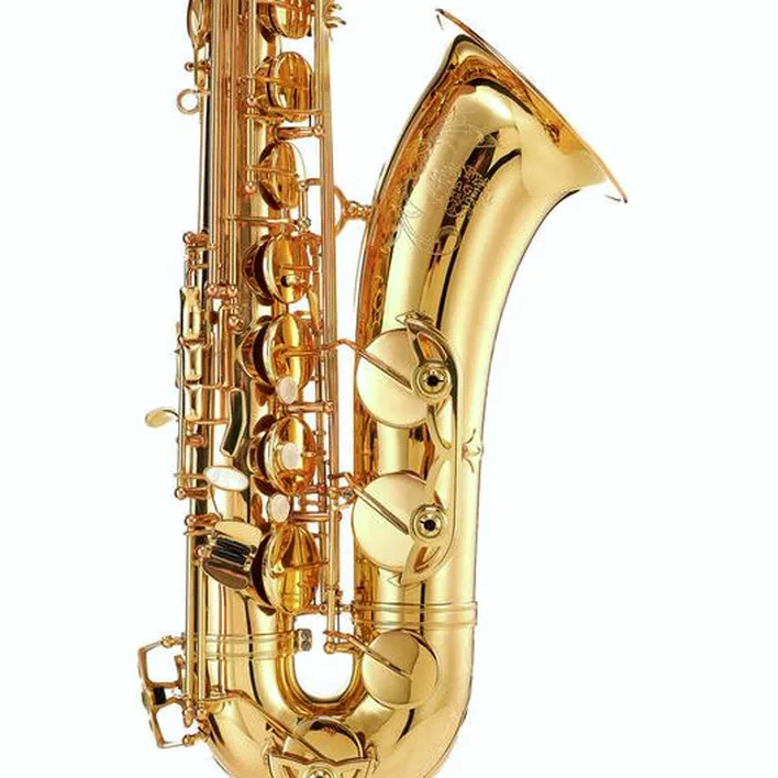 Test et Avis : Schagerl SuperiorPro Tenor Sax T-2L