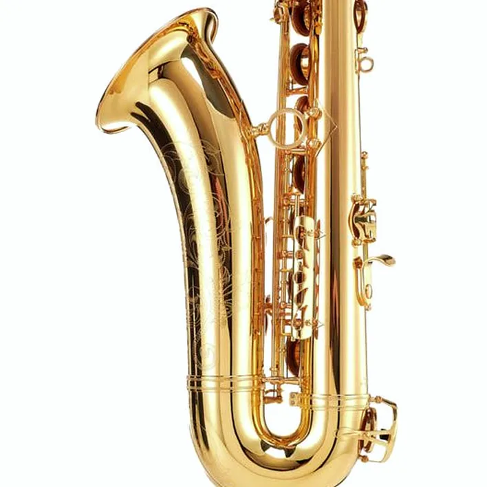 Test et Avis : Schagerl SuperiorPro Tenor Sax T-2L