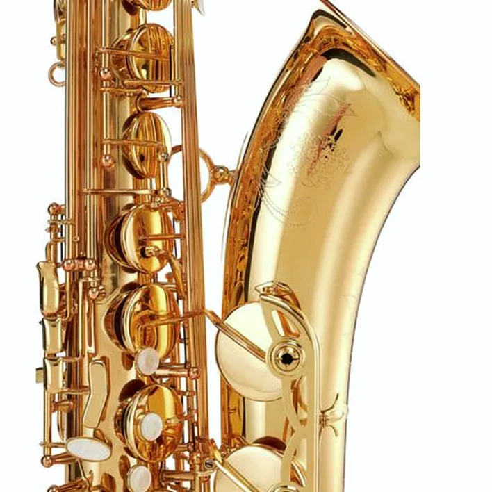 Test et Avis : Schagerl SuperiorPro Tenor Sax T-2L