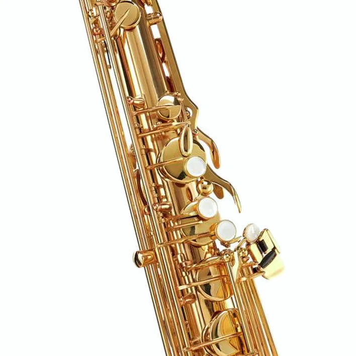 Test et Avis : Schagerl SuperiorPro Tenor Sax T-2L