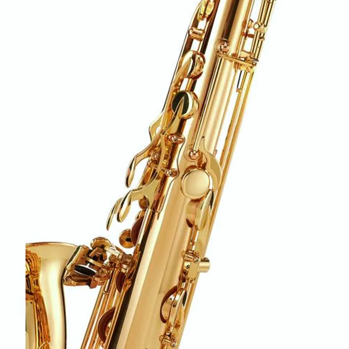 Test et Avis : Schagerl SuperiorPro Tenor Sax T-2L